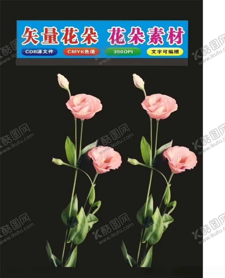 编号：14790907090041508323【酷图网】源文件下载-玫瑰花朵