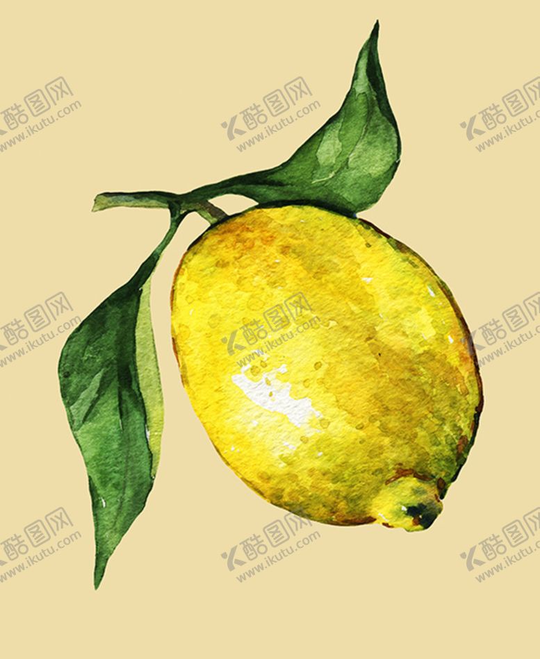 编号：37315903101538119678【酷图网】源文件下载-柠檬