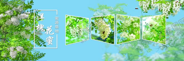 编号：26432010310325403249【酷图网】源文件下载-春日繁花槐花风景图