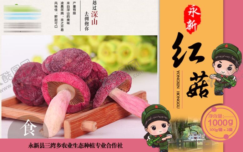编号：31704602180524537464【酷图网】源文件下载-红菇广告