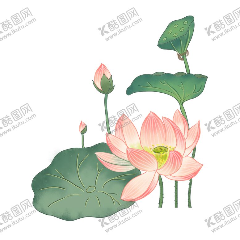 编号：15257305070132488359【酷图网】源文件下载-荷花