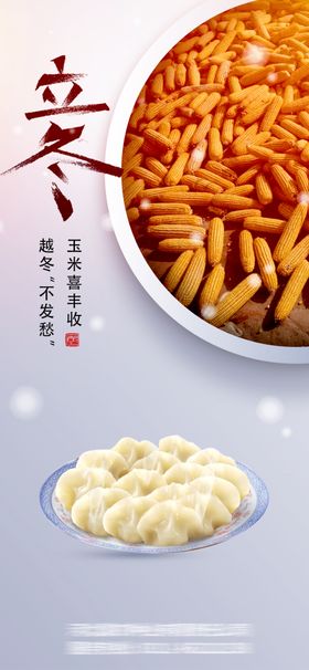 大雪海报寒露寒小