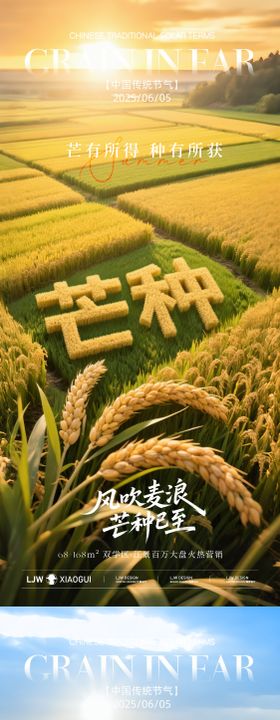 芒种立体字节气海报