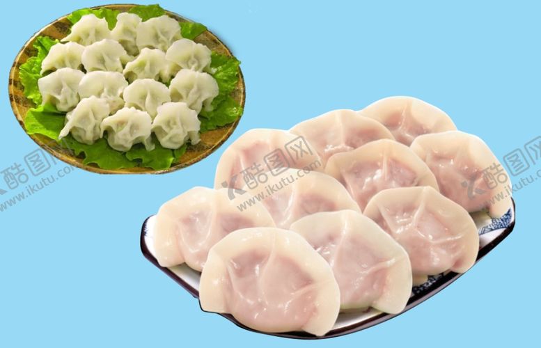 编号：49013005100904273569【酷图网】源文件下载-美味的饺子