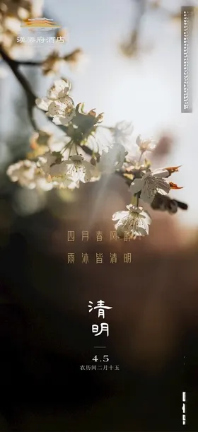 清明节气海报