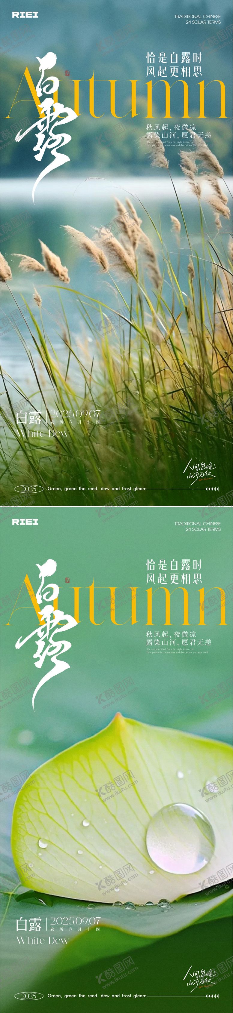 编号：37693309090405489057【酷图网】源文件下载-白露节气系列海报