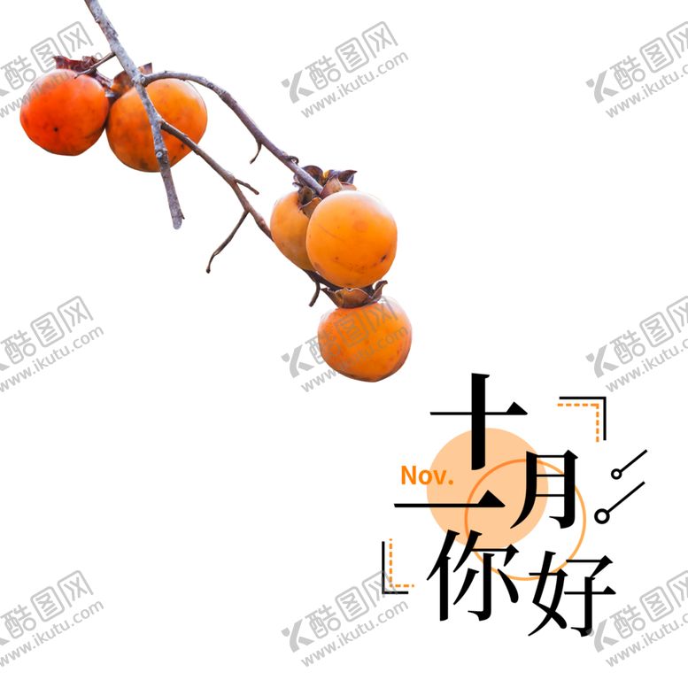 编号：77191710071626027372【酷图网】源文件下载-冬季柿子素材