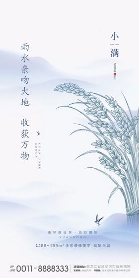 小满节气移动端海报