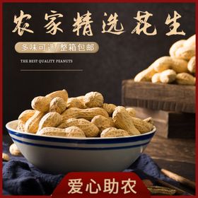 爱心助农食品生鲜花生中国风主图