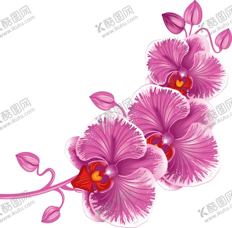 编号：90082009110237592903【酷图网】源文件下载-花朵