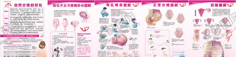 编号：58541709271758364163【酷图网】源文件下载-自然分娩母乳喂养正常分娩图