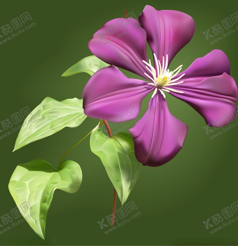 编号：33450009160212428115【酷图网】源文件下载-花朵