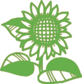葵花