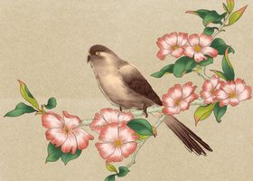 古风花卉素材
