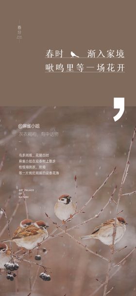 地产春分节气海报二十四小鸟创意