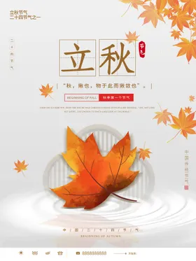 立秋一叶知转发图单页展架