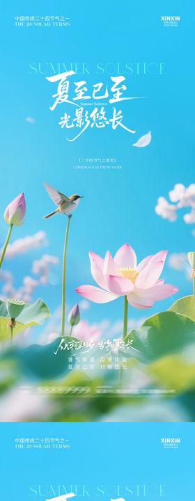 地产夏至入伏小暑清新荷花海报