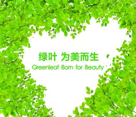 绿叶背景墙