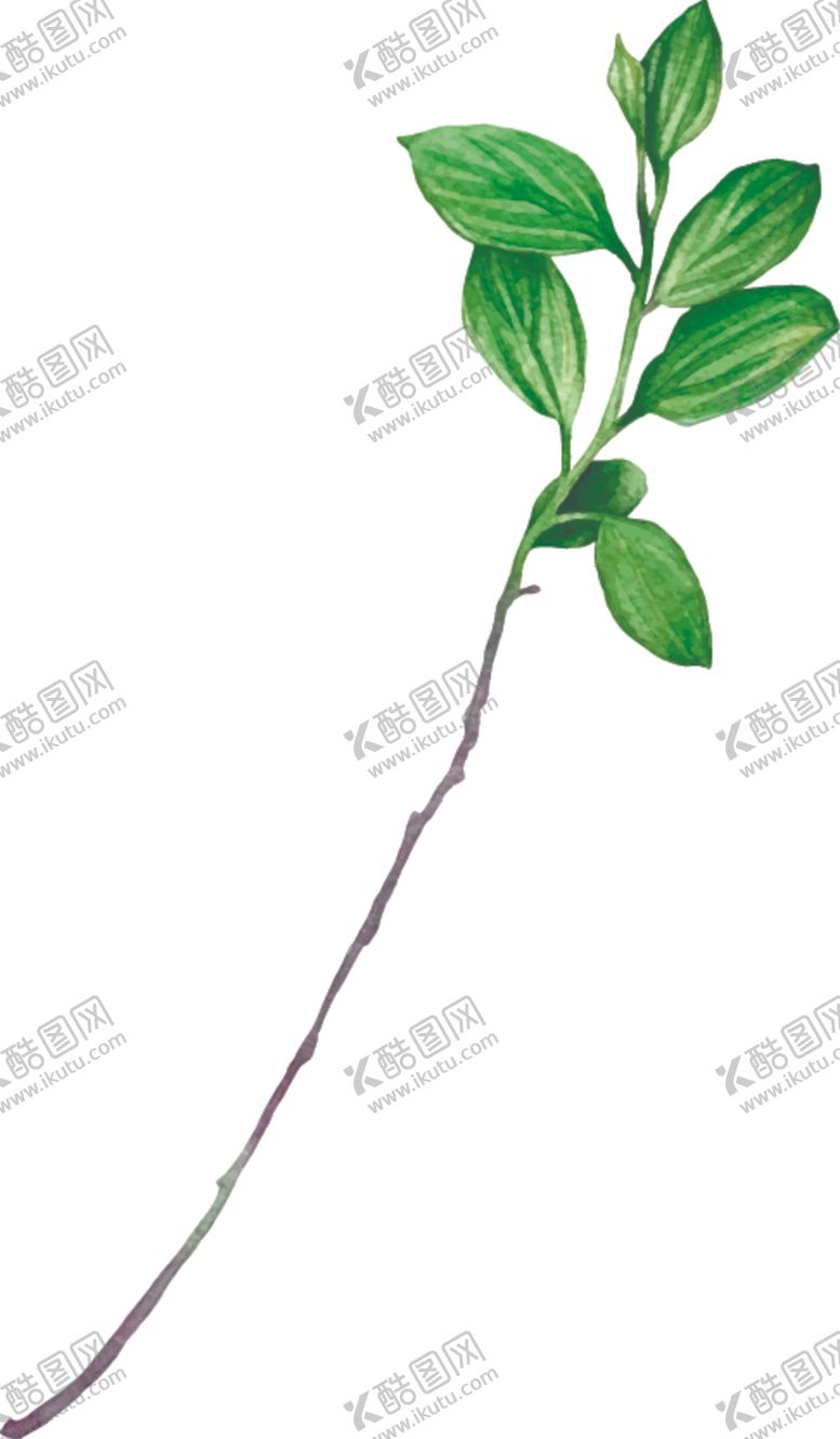 编号：81907404170611058336【酷图网】源文件下载-手绘绿植