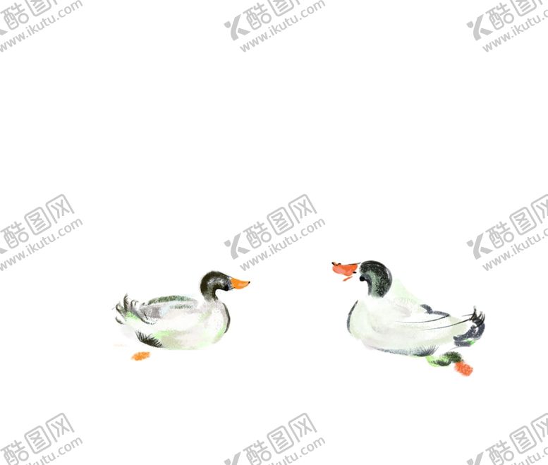 编号：16568909251045047608【酷图网】源文件下载-鸭子