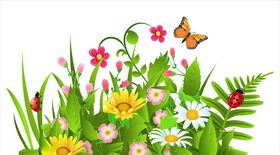 矢量花草图