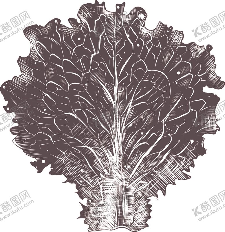 编号：16546010141124393884【酷图网】源文件下载-手绘蔬菜