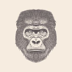 动物铅笔画
