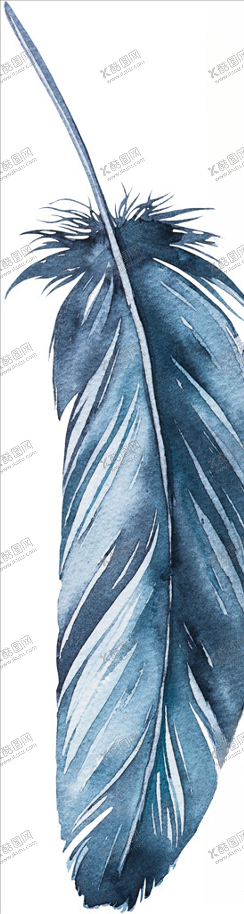 编号：62905609262101222432【酷图网】源文件下载-羽毛