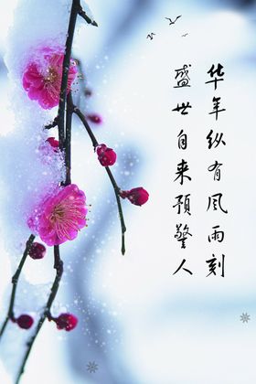 节气图片