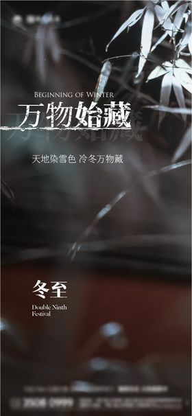 冬至节气海报叶子二十四花草