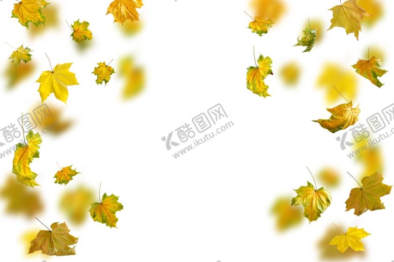 编号：53871107141410417680【酷图网】源文件下载-枫叶