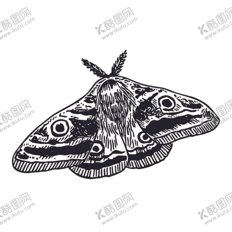 编号：24819710230212036604【酷图网】源文件下载-昆虫绘画图案