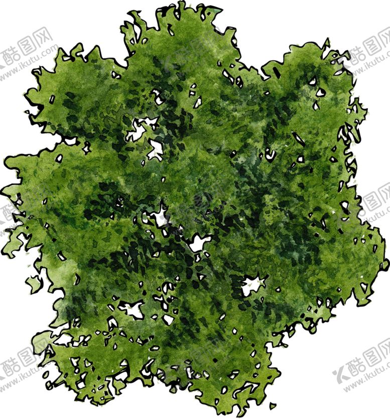编号：71258905050935463960【酷图网】源文件下载-手绘植物