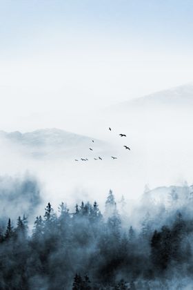 禅意山水