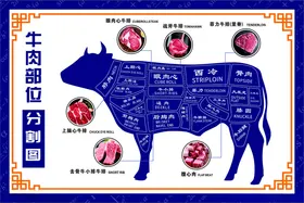 牛肉分割图