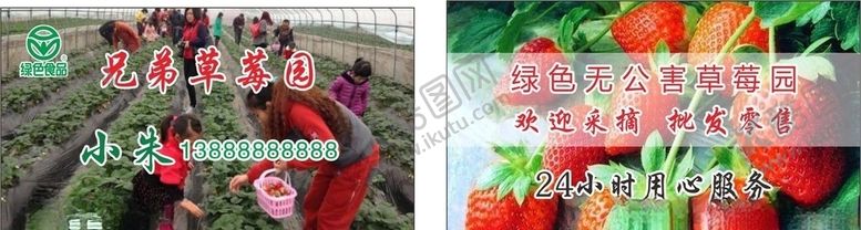 编号：10504707140732304472【酷图网】源文件下载-草莓园采摘名片