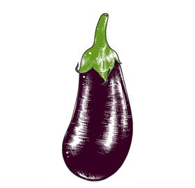 手绘蔬菜插画