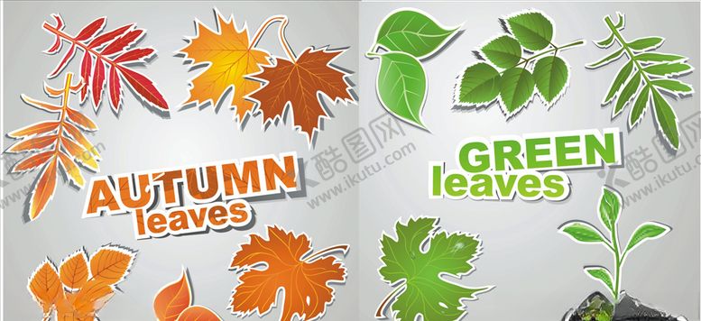 编号：12126310291618435631【酷图网】源文件下载-手绘树叶