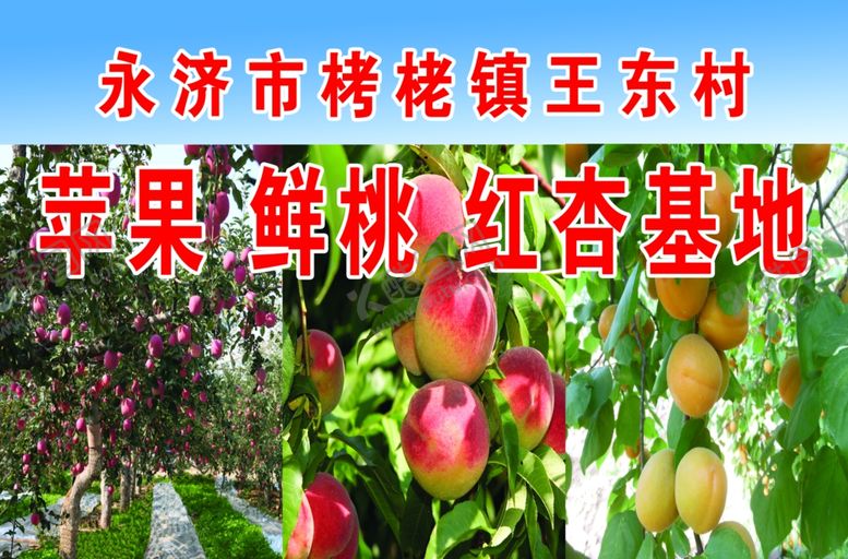 编号：79307907130640126720【酷图网】源文件下载-苹果基地