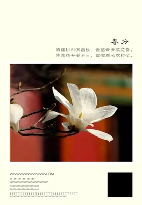 二十四节气春分日素材小清新传统