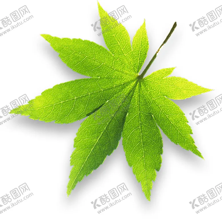 编号：39254507010458167263【酷图网】源文件下载-植物