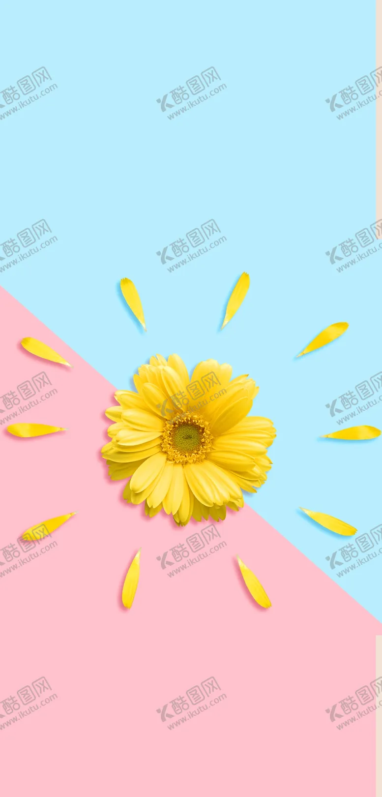 编号：71794006250945008990【酷图网】源文件下载-手机壁纸