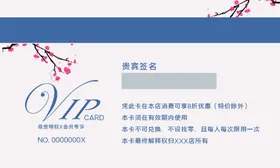 会员卡绚丽VIP高端
