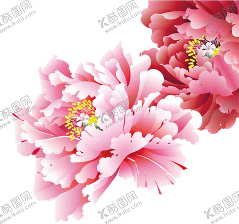 编号：35986307091823104482【酷图网】源文件下载-牡丹花