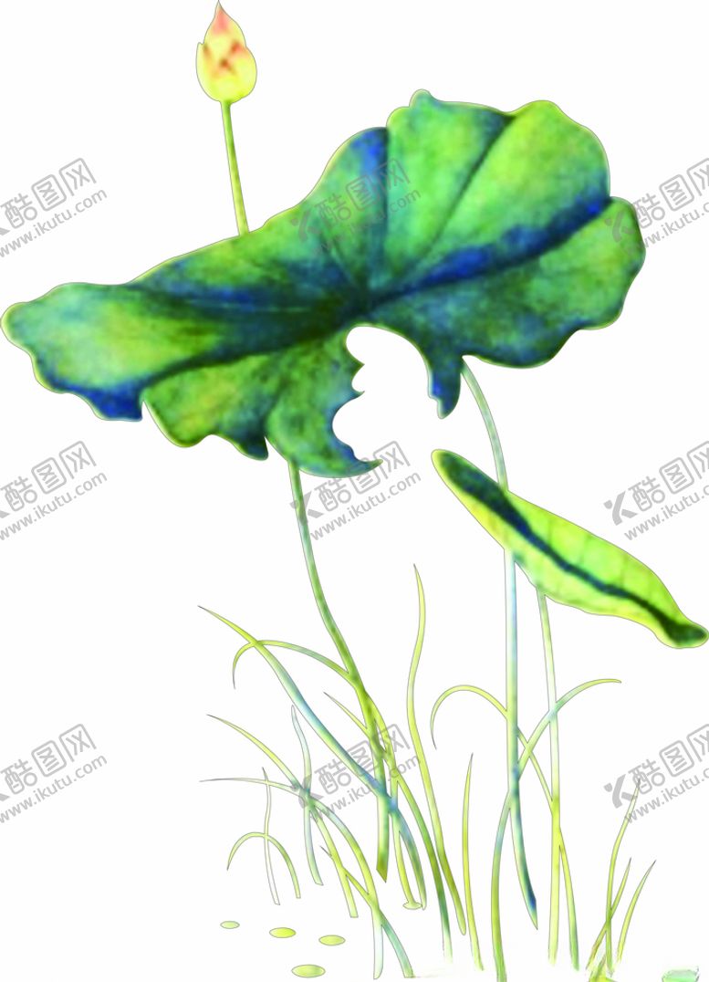 编号：59766310080145015316【酷图网】源文件下载-荷花
