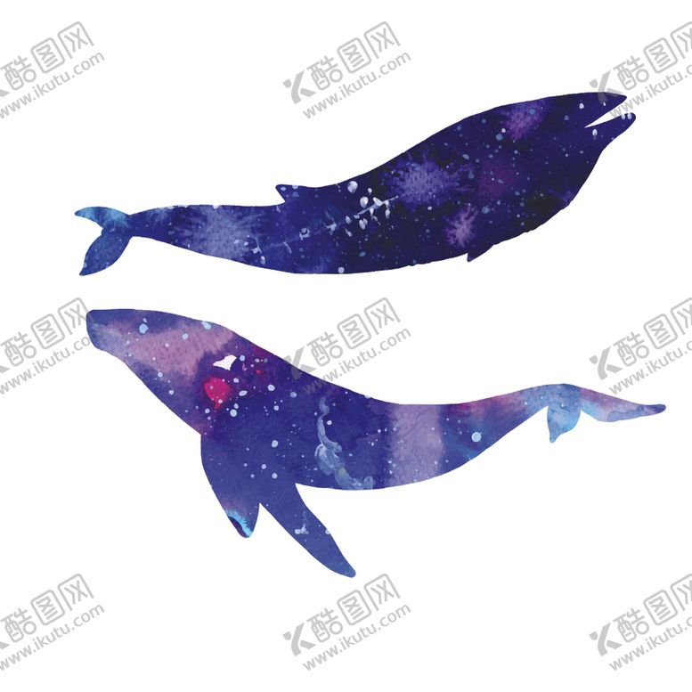 编号：64588910050502009034【酷图网】源文件下载-炫彩渐变鲸鱼图案