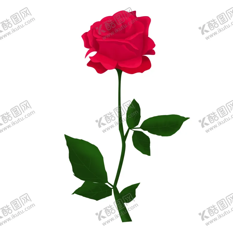 编号：14796802172253503958【酷图网】源文件下载-玫瑰花
