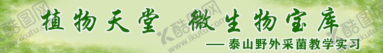编号：62715009180505002098【酷图网】源文件下载-彩色横幅