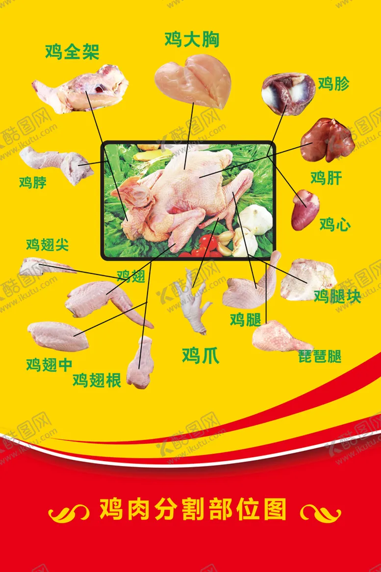编号：29647309272253120562【酷图网】源文件下载-鸡肉分割图