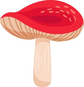 蘑菇菌类卡通手绘png免抠图